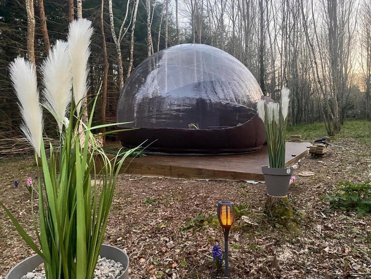 Logement Insolite "Bubble Jungle" Saint-Evarzec Exterior photo
