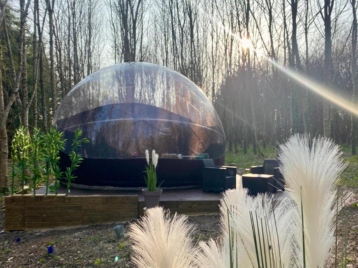 Logement Insolite "Bubble Jungle" Saint-Evarzec Exterior photo