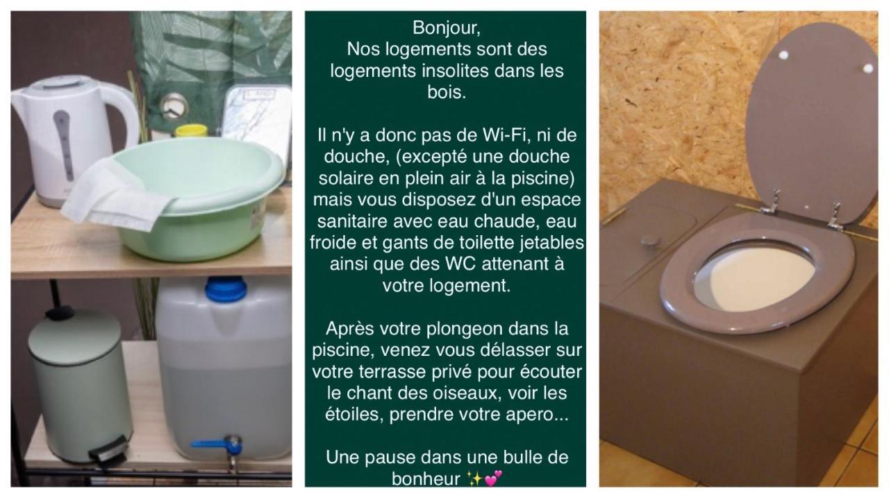 Logement Insolite "Bubble Jungle" Saint-Evarzec Exterior photo